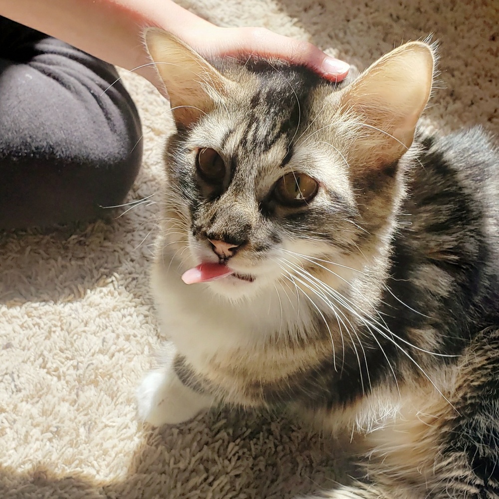 Meet your Posher, Jennifer